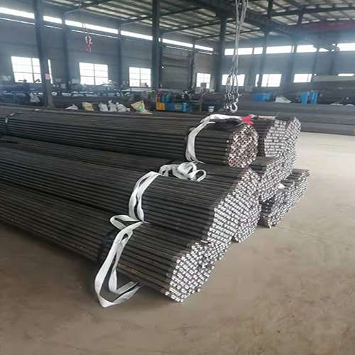 龙子湖使用声测管进行检测的目的和方法